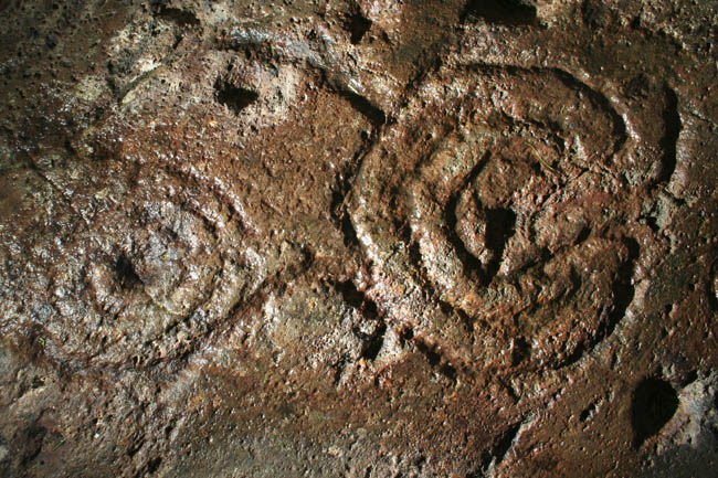 Ballygowan (Cup and Ring Marks / Rock Art) by Hob