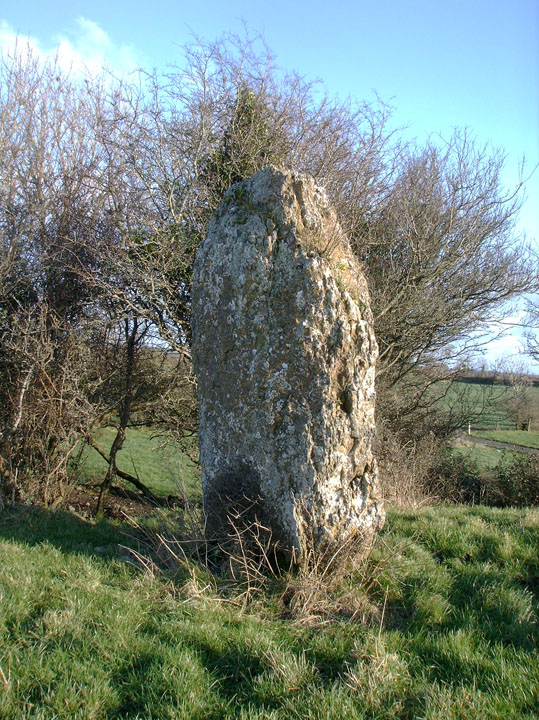 Ballycloghduff (Standing Stone / Menhir) by Alan Lee