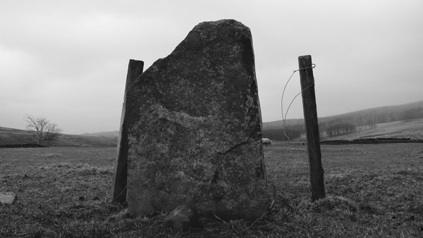 Wolf Stone (Standing Stone / Menhir) by rockartwolf