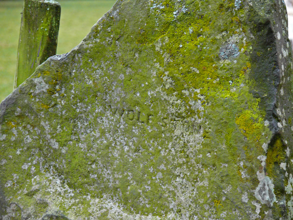 Wolf Stone (Standing Stone / Menhir) by rockartwolf