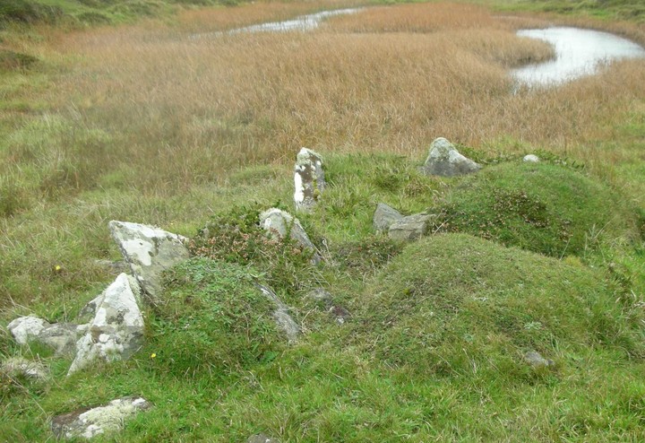 Inis Earcain (Sherkin Island) (Burial Chamber) by caealun