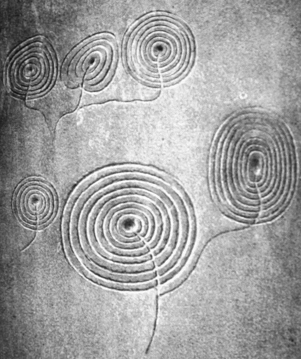Achnabreck (Cup and Ring Marks / Rock Art) by fitzcoraldo