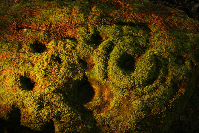 Blackbog Dean (Cup and Ring Marks / Rock Art) by Hob