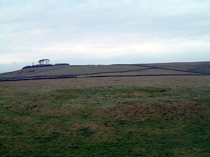 Gallows Low Lane (Round Barrow(s)) by stubob