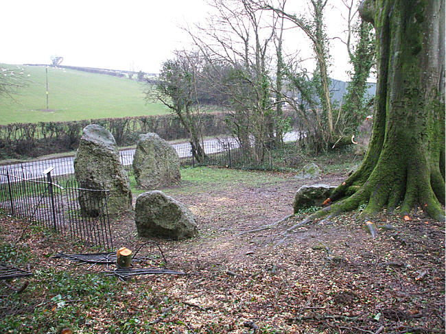 The Nine Stones of Winterbourne Abbas (Stone Circle) by hamish
