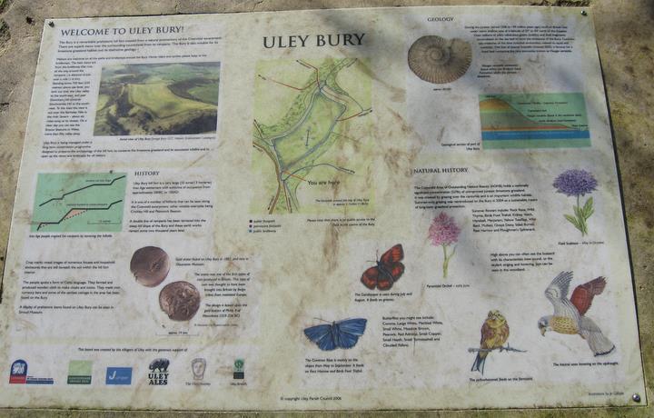 Uley Bury Camp (Hillfort) by Ike