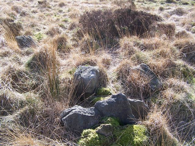 Pikestones (Chambered Cairn) by treehugger-uk