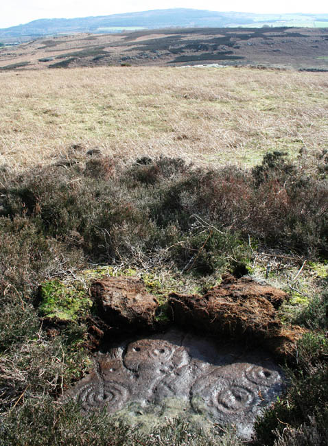 Hunterheugh 2 and 3 (Cup and Ring Marks / Rock Art) by Hob