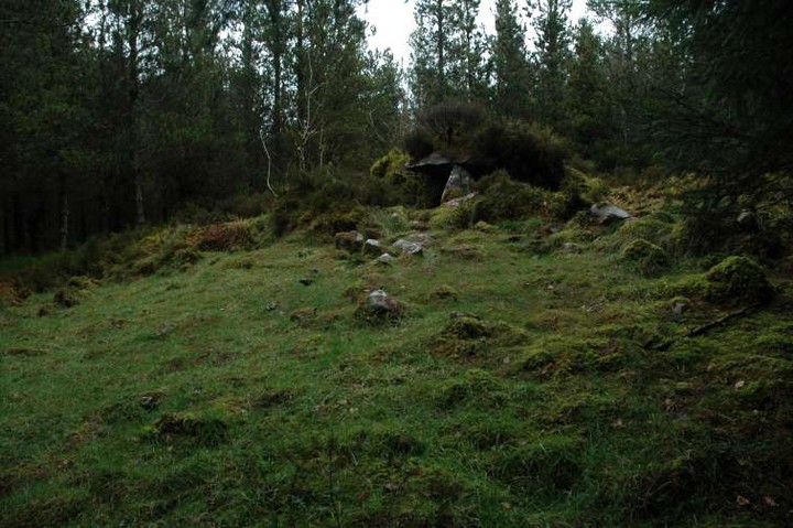 Burren (SW) (Wedge Tomb) by ryaner