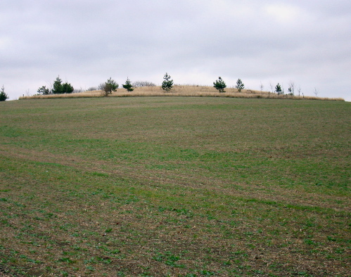 Hagbourne Hill (Round Barrow(s)) by wysefool