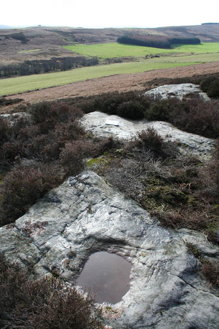 Hunterheugh 4 and 5 (Cup and Ring Marks / Rock Art) by Hob