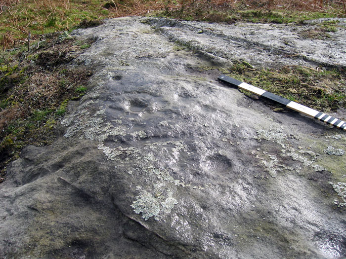 Titlington Mount (Cup and Ring Marks / Rock Art) by rockandy