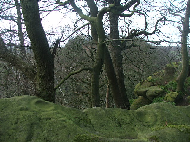 Rowtor Rocks (Cup and Ring Marks / Rock Art) by postman