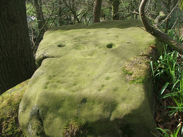 Rowtor Rocks (Cup and Ring Marks / Rock Art) by postman