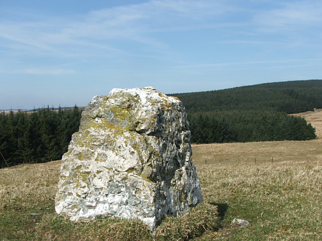 Carreg Garn Fawr (Standing Stone / Menhir) by postman