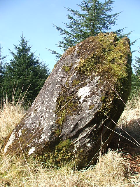 Pant Meddygon (Standing Stones) by postman