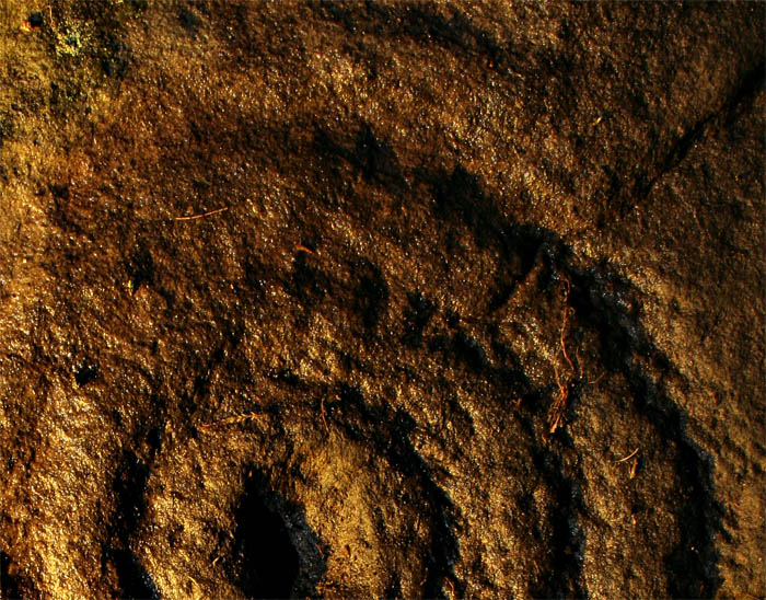 Hunterheugh 2 and 3 (Cup and Ring Marks / Rock Art) by Hob