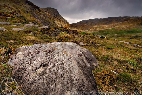 Derrynablaha D (Cup and Ring Marks / Rock Art) by CianMcLiam