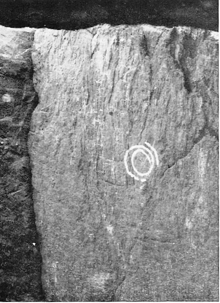 Bryn Celli Ddu (Chambered Cairn) by wysefool