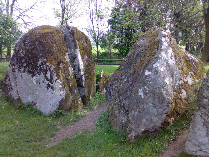 Grange / Lios, Lough Gur (Stone Circle) by gjrk