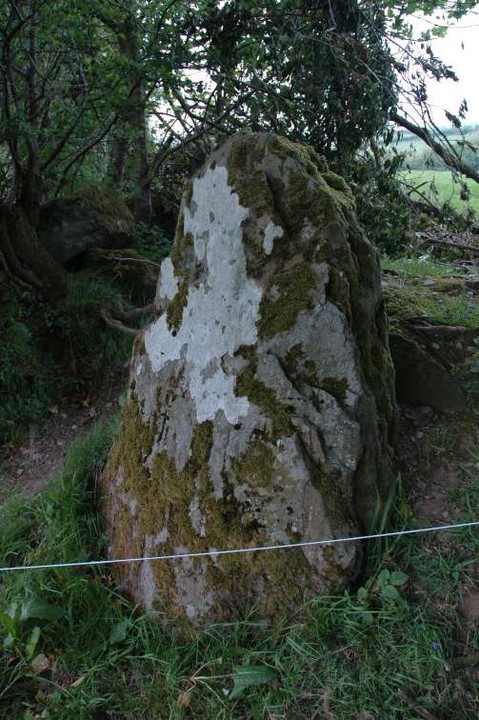 Drumsallagh (Wedge Tomb) by ryaner