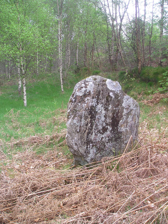 Tir Artair (Standing Stone / Menhir) by tiompan