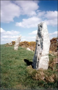 The Nine Maidens (Stone Row / Alignment) by phil