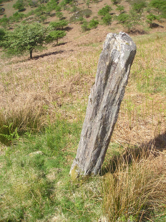 Cille Fhearchair (Standing Stone / Menhir) by tiompan