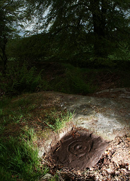 North Plantation (Cup and Ring Marks / Rock Art) by Hob