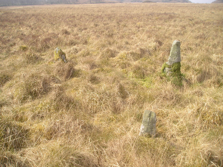 Crinan Moss (Standing Stones) by tiompan