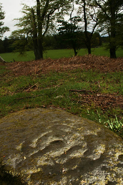 Fowberry Cairn (Cup and Ring Marks / Rock Art) by Hob