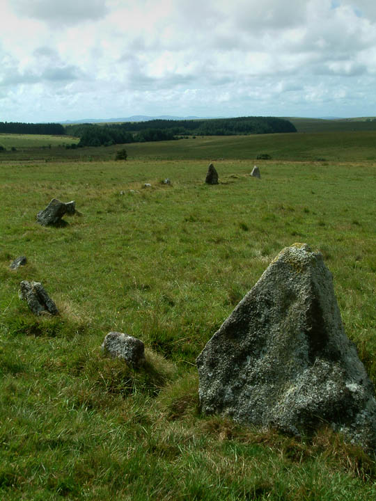Fernacre (Stone Circle) by Mr Hamhead