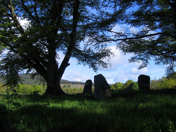 Deer Park (Stone Circle) by jimmyd