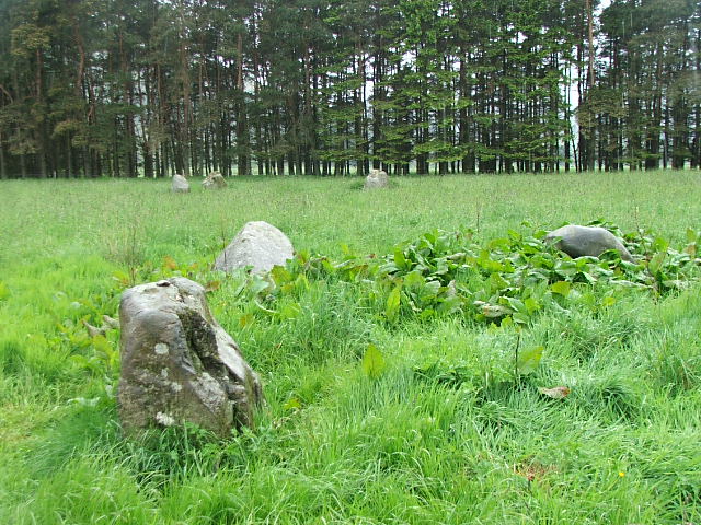 Fortingall (Stone Circle) by postman