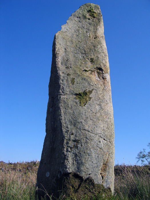 Carragh a' Ghlinne (Stone Row / Alignment) by rockandy