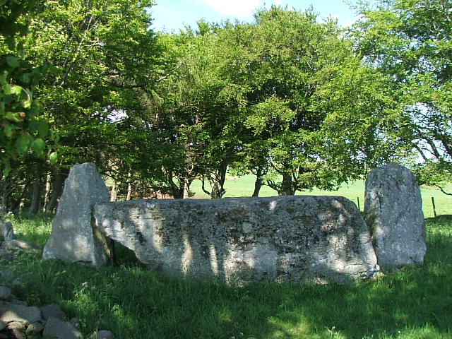 Old Keig (Stone Circle) by postman