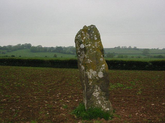 Llanddyfnan (Standing Stone / Menhir) by stubob