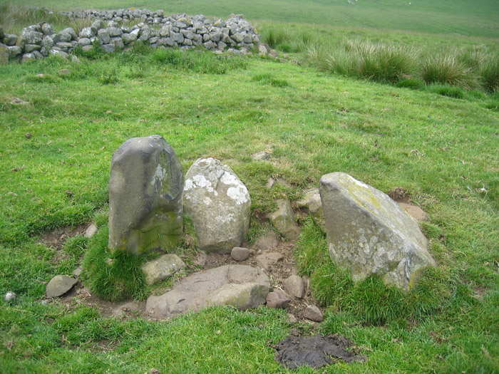 Howden Hill (Northumberland) (Cup Marked Stone) by rockandy