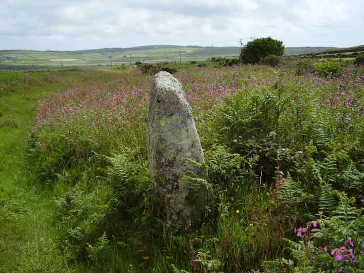 Boslow Stone (Standing Stone / Menhir) by formicaant