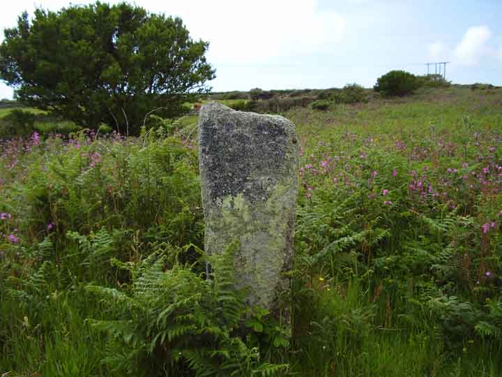 Boslow Stone (Standing Stone / Menhir) by formicaant