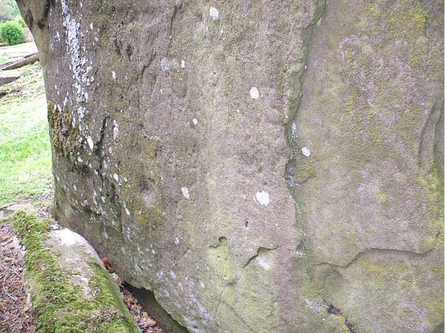 Pitscandlie (Standing Stones) by hamish