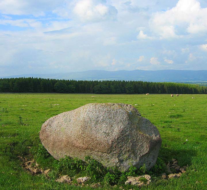 Harberwain Stone (Standing Stone / Menhir) by fitzcoraldo