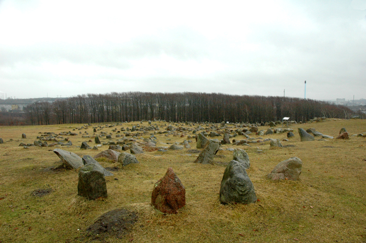 Lindholm Høje (Megalithic Cemetery) by Moth
