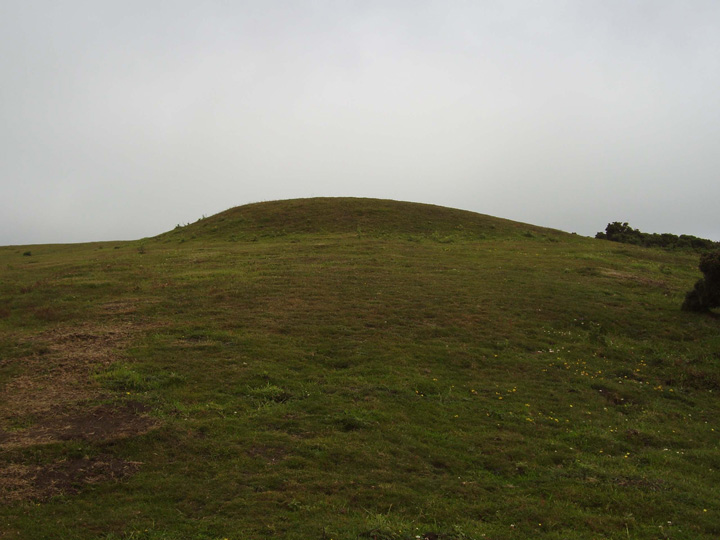 Tulk's Hill (Round Barrow(s)) by formicaant