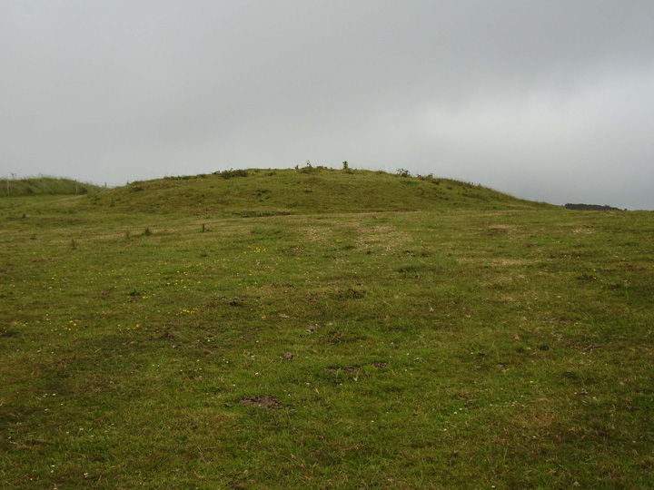 Tulk's Hill (Round Barrow(s)) by formicaant