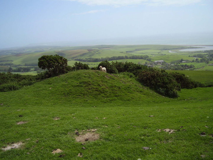 White Hill Barrows (Barrow / Cairn Cemetery) by formicaant
