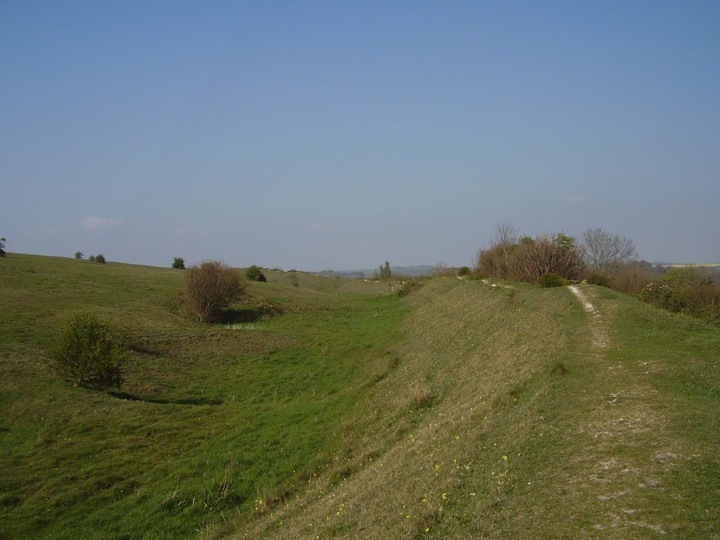 Hod Hill (Hillfort) by formicaant