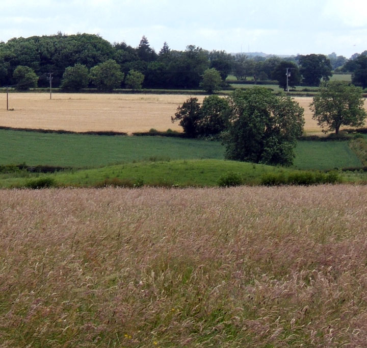 Osmaston Fields (Round Barrow(s)) by fauny fergus