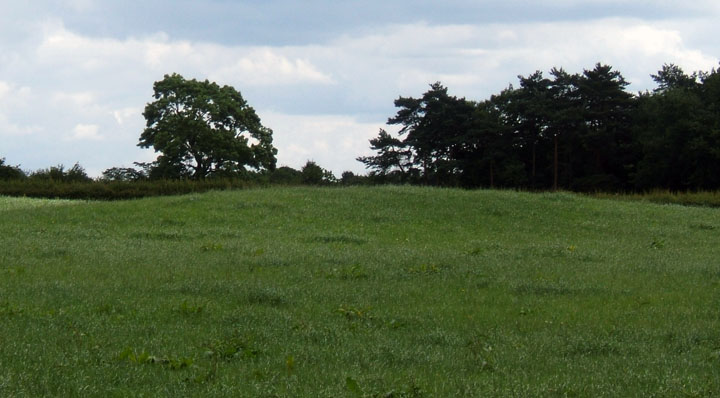 Osmaston Fields 2 (Round Barrow(s)) by fauny fergus