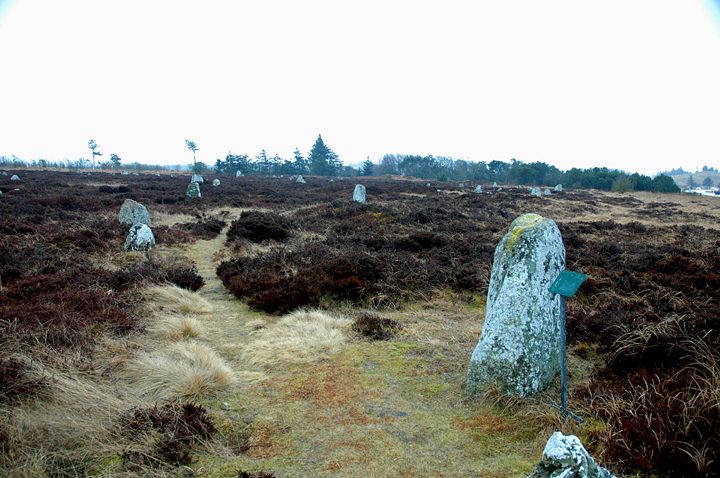 Tømmerby Vikingeravplads (Megalithic Cemetery) by Moth